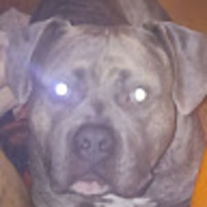 Meet your Posher, Mandie